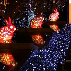 Horóscopo Chino 2023: ¿Cuál es tu signo y quiénes tendrán más suerte este año?