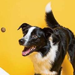 Vigila y juega con tus mascotas con la cámara Furbo top ventas