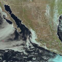 Tormenta Tropical Alberto 2024, resumen: trayectoria y estados afectados | últimas noticias