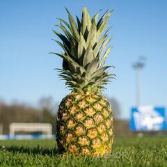 El Depor exprime al máximo el jugo de la piña, su último talismán hacia el ascenso
