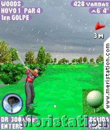 Captura de pantalla - tigerwoods_00010.jpg