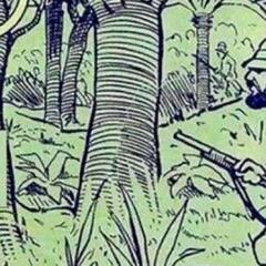 Reto visual: ¿Puedes encontrar al elefante oculto en la imagen?