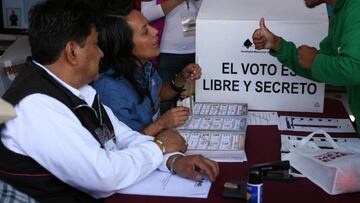 Elecciones Federales 2021: qué es un observador electoral y qué hace