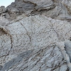 Hallazgo arqueológico en los Dolomitas: un “valle de los dinosaurios” con miles de huellas fósiles