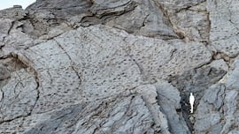 Hallazgo arqueológico en los Dolomitas: un “valle de los dinosaurios” con miles de huellas fósiles