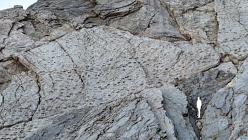 Hallazgo arqueológico en los Dolomitas: un “valle de los dinosaurios” con miles de huellas fósiles