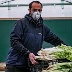 IESS Seguro de desempleo: monto, cómo aplicar y cuándo se cobra