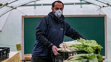 IESS Seguro de desempleo: monto, cómo aplicar y cuándo se cobra