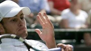 <b>ESPERA FEDERER.</B> Roddick es uno de los señalados para acabar con el reinado de Federer en Wimbledon.