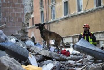 ITA00 AMATRICE (ITALIA) 24/08/2016.- Equipos de emergencia acompañados de un perro buscan supervivientes entre los escombros en Amatrice, en el centro de Italia, hoy, 24 de agosto de 2016. Al menos 38 personas han muerto y decenas se encuentran desaparecidas a causa del terremoto de 6,0 grados de magnitud en la escala abierta de Richter que ha sacudido el centro de Italia en la madrugada de hoy, informó la Protección Civil italiana. EFE/Massimo Percossi