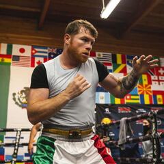 'Canelo': ''Aún sueño con ser uno de los mejores de la historia''