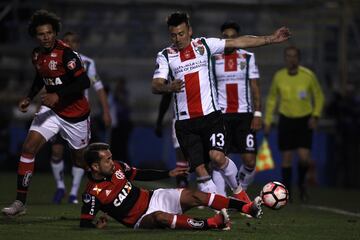 Se fue en medio de la polémica de la UC y optó por el retorno a Palestino.