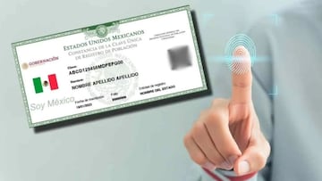 Conoce la lista de trámites que podrás realizar con la CURP Biométrica que será obligatoria hasta 2026.