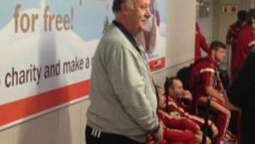 Del Bosque, en Johannesburgo.