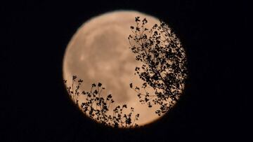 Este día es muy especial para aquellos supersticiosos, ya que se celebra Viernes 13, pero además en esta ocasión coincide con una luna llena.