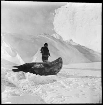 El 14 de diciembre de 1911, Roald Amundsen y su expedición, a 23 grados bajo cero, se convertían en los primeros en conquistar el Polo Sur.