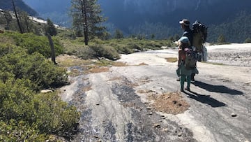 The Trump administration has said that foreign visitors must pay more to visit U.S. national parks.