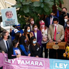¿Qué es la Ley Tamara, a quién afecta y cuándo entrará en vigor?