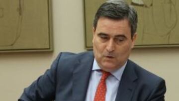 Presidente del Consejo Superior de Deportes, Miguel Cardenal