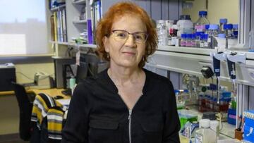 Margarita del Val señala los errores a evitar en una futura pandemia