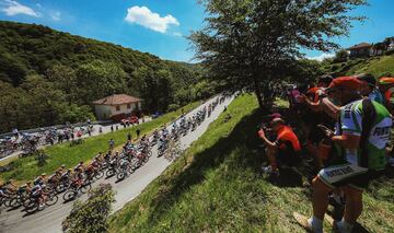 El pelotón durante la decimonovena etapa del Giro de Italia. 