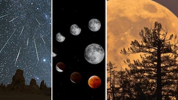 Calendario lunar noviembre 2023: fases lunares, Luna de Castor, lluvia de estrellas y conjunciones