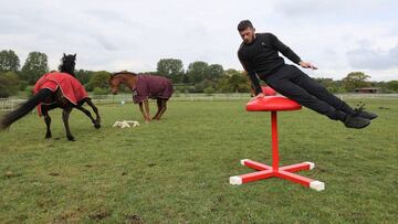 Entrenamiento de gimnasia entre caballos