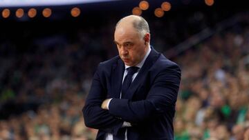 Pablo Laso, entrenador del Real Madrid, durante un partido.
