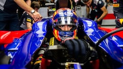 MONZA, ITALY - SEPTEMBER 01:  Carlos Sainz of Scuderia Toro Rosso and Spain during practice for the Formula One Grand Prix of Italy at Autodromo di Monza on September 1, 2017 in Monza, Italy.  (Photo by Peter Fox/Getty Images)