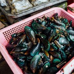 Captan al ‘abuelo ladrón’ robando 5 kg de uno de los mariscos más preciados: “Al día siguiente, faltaba la mitad”