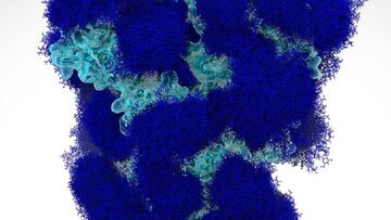 Hallan el recubrimiento azucarado del coronavirus que camufla la enfermedad