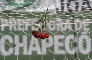 Flowers hang from a soccer net at the Arena Conda stadium in Chapeco, Brazil, Tuesday, Nov. 29, 2016. A chartered plane that was carrying the Brazilian soccer team Chapecoense to the biggest match of its history crashed into a Colombian hillside and broke into pieces, Colombian officials said Tuesday. (AP Photo/Andre Penner)