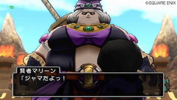 Captura de pantalla - Dragon Quest X (Wii)