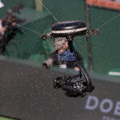 Bee invasion suspends Zverev - Alcaraz at Indian Wells