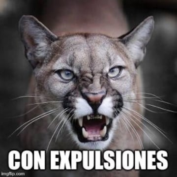 Los mejores memes de la victoria de Tigres ante Pumas