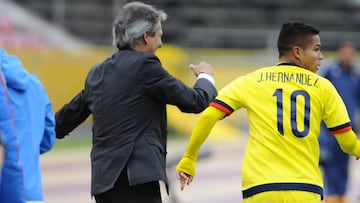 Carlos Restrepo celebra el gol de Juan Camilo Hern&aacute;ndez ante Argentina