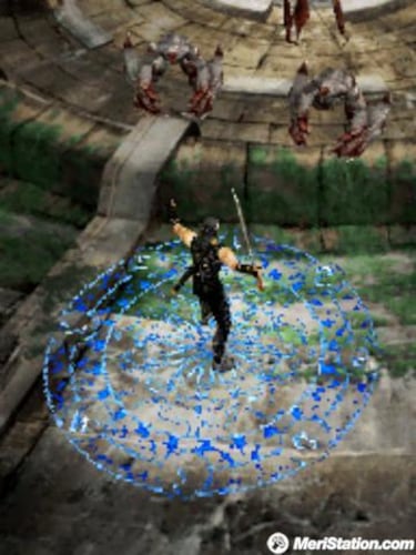 Ninja Gaiden Dragon Sword, Impresiones