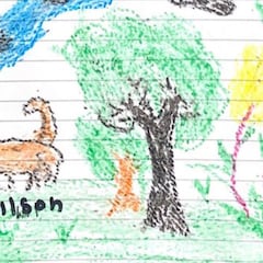 ¿Qué pasa con la búsqueda de Wilson, el perro héroe de los niños de la selva?
