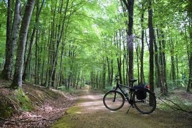 Kolotrip: Una opción profesional para organizar tu viaje en bici
