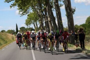 El pelotón recorriendo los 178 km entre Montpellier y el Mont-Ventoux.