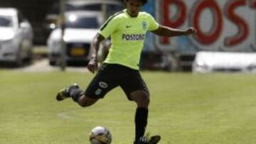 Palomino, tres meses fuera de las canchas por lesión de rodilla