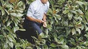 <b>DE CAMUFLAJE.</b> Tiger dejará los palos y tomará el fusil de asalto.