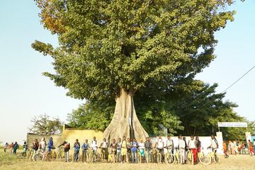 Un gran número de alumnos posan a las puertas de su colegio junto a un gigantesco árbol. Antes de la llegada de Bicicletas Sin Fronteras tan solo había cinco bicicletas en esta zona de Senegal, una de las más rurales del país. 