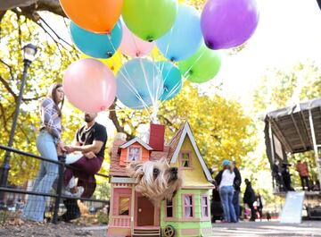 Tompkins Square Park es un parque de cuatro hectáreas del East Side de Manhattan en Nueva York donde se han reunido numerosos perros disfrazados para Halloween.