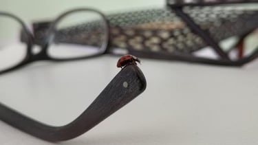 Presentación RED Hydrogen One