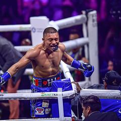 Pitbull Cruz y Gervonta Davis cerca de concretar la revancha, revela Teófimo López