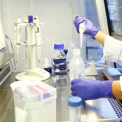 La vacuna para la malaria podría ser clave contra el coronavirus