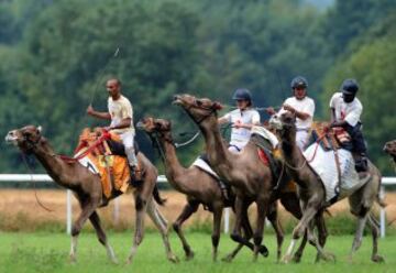 Jockeys ride camels during a French Cup of camel races on August 10, 2014 on the horserace track of La Chartre-sur-le-Loir, western France. Unusual in these latitudes, eight dromaderies that have never seen the desert, took part in two races of 1000 meters. AFP PHOTO / JEAN-FRANCOIS MONIER