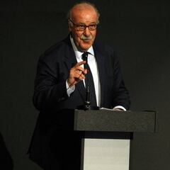 Del Bosque sigue siendo el gran favorito para ser el responsable del deporte