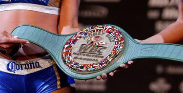 Mayweather and McGregor are fighting for the Money Belt